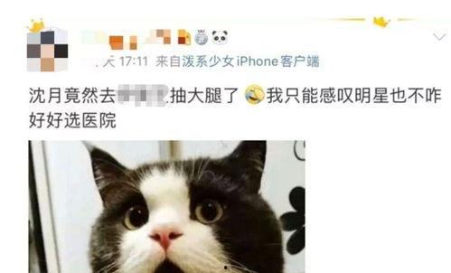 博主皮肤爆料怎么做的视频,轻松打造吸睛内容 第3张 博主皮肤爆料怎么做的视频,轻松打造吸睛内容 第3张